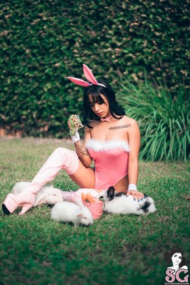 Bunny Party - 02